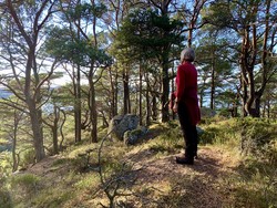 Store Foreåsen
