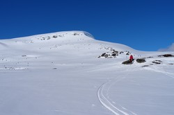 Ørjedalsfjellet