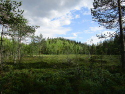 Lysthøgda
