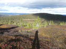 Robølfjellet