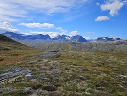 Lontjønnhalsen