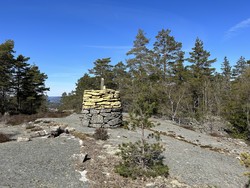 Riksrøys B