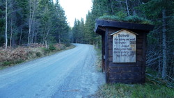 Solemsdalveien bom