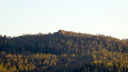 Høylasset