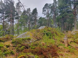 Cap Clara-toppen