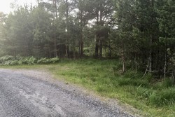 Rottøyhaugen P-lomme