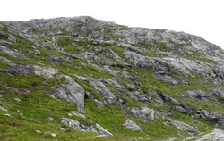 Storebotsnipa