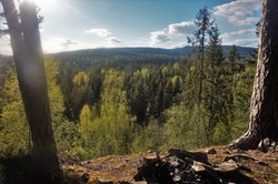 Th. Thornes utsikt