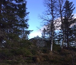 Rolighaug
