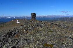 Gråsida vest