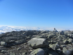 Vargabreen