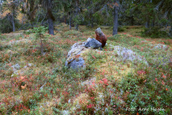 Tuvberget