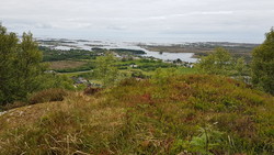 Hjertåsen