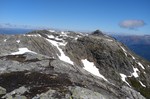 Solnuten