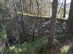 Storestemmen