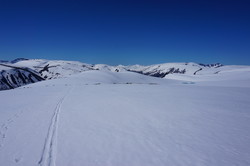 Stølkamben