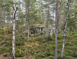 Tonepølsa