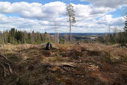 Sundbyvarden