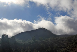 Montañón Negro