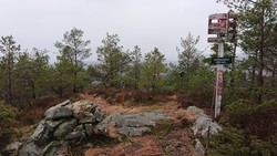 Dyviksåta