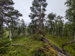 Havåsen
