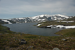 Kvannlitinden