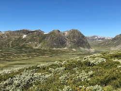 Søre Skålanuten