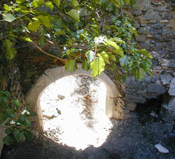 Ruine Scharfeneck