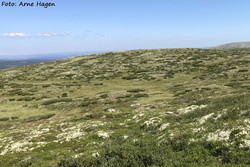 Kvannslåhaugen