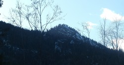 Svålknatten
