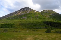 Rismåltuva