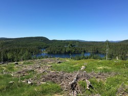 Måsjøhaugen
