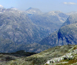 Reinshovden