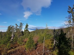 Nøsterhaugen