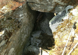 Torjehula