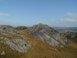 Holsteinknuden