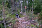 Øst for Grasåsen