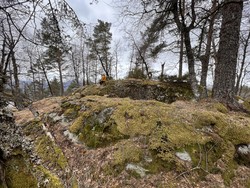 Dyrås