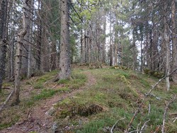 Marikollen