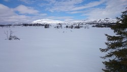 Høgkampen