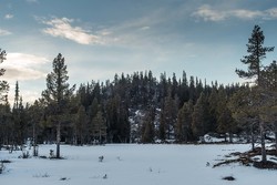 Espesetåsen høyde 942