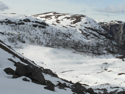 Høgehei
