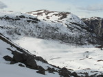 Høgehei
