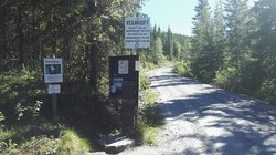 Nysetvegen