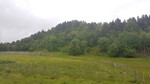 Storhaugen