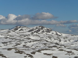 Såta