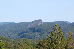 Stasnibb