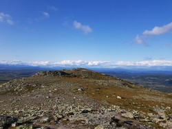 Grønsennknippa nord
