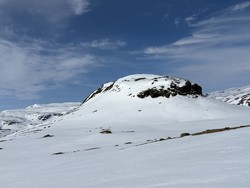 Bolhovd