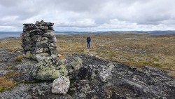 Langebueggi